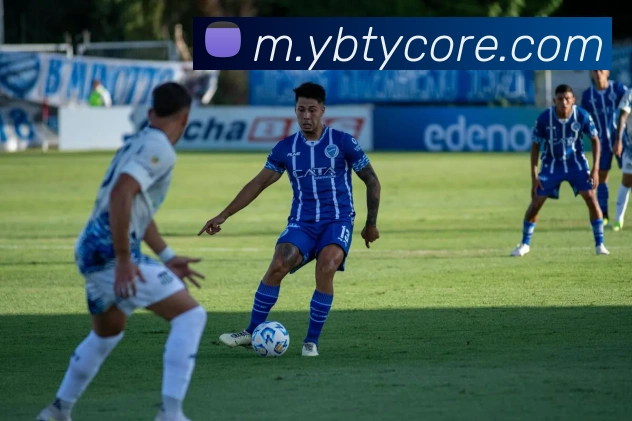 YB体育发展历程